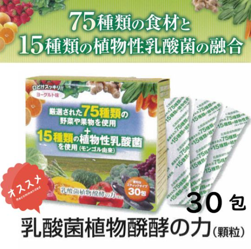 健之日植物乳酸菌-1.5g x 30包