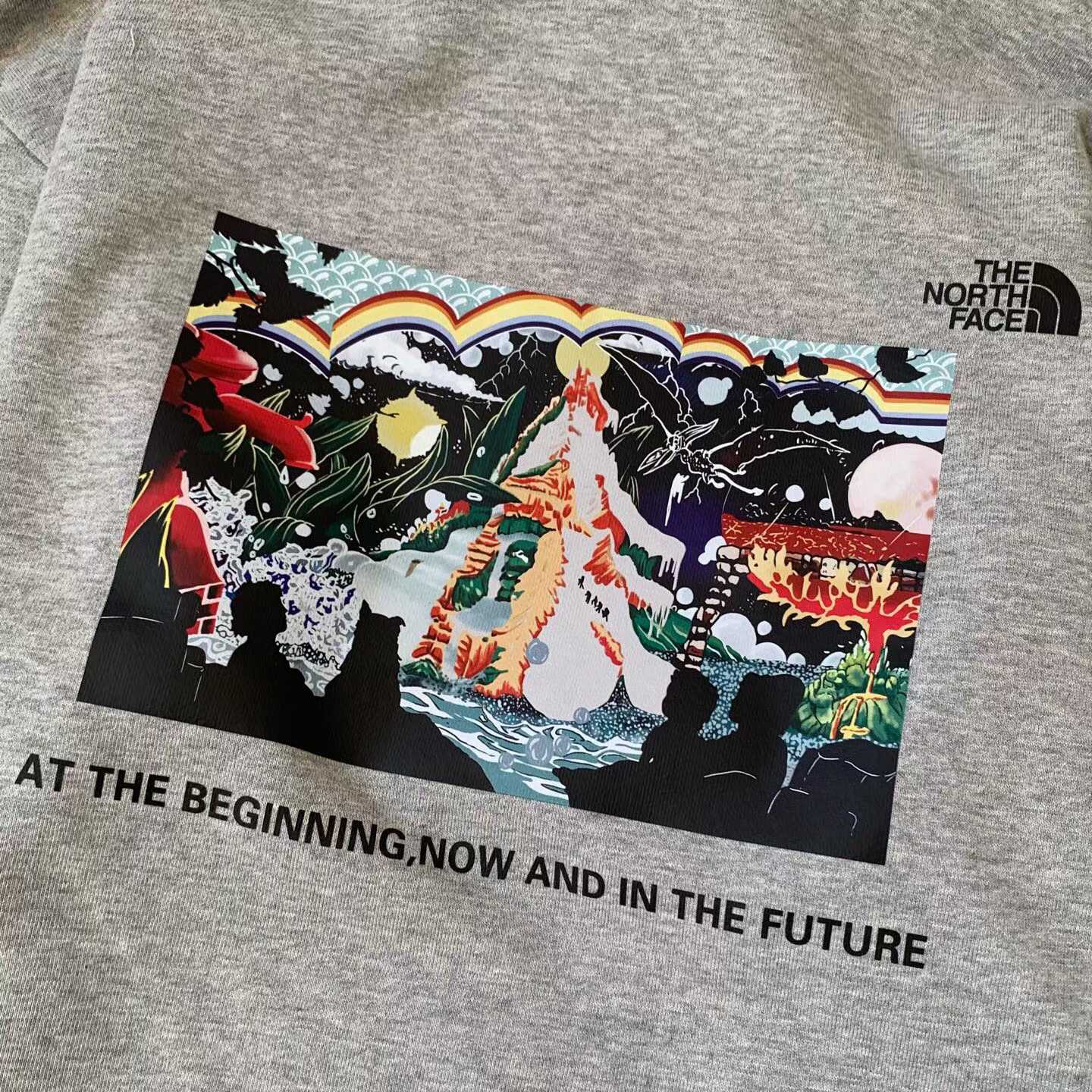 預訂 TNF 60 週年連帽衛衣 [貨號26A854]