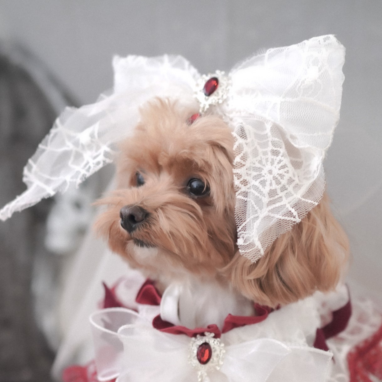 🎃Haunted Castle – Haunted Castle Bridal Veil