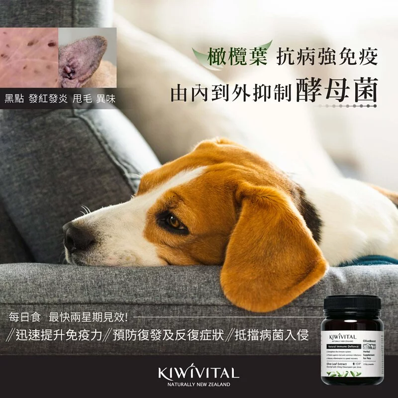 Kiwivital OliveBoost 80g 寵物專用橄欖葉草療配方