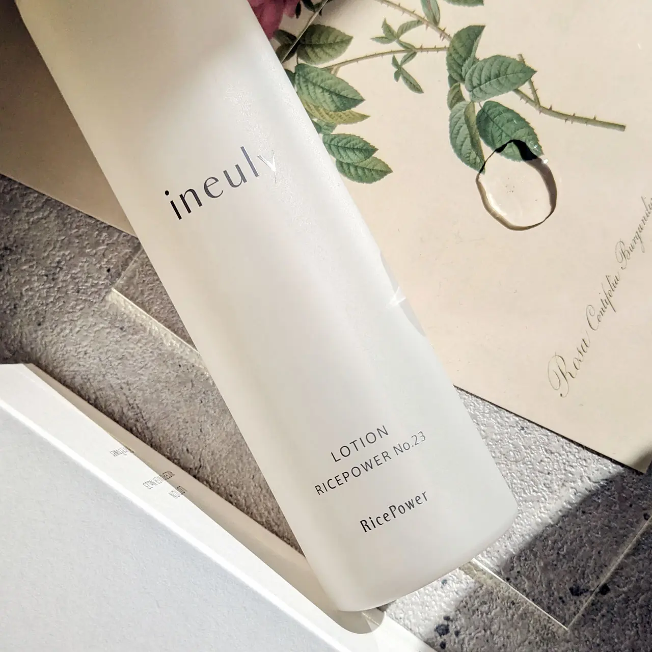 【✨️日本🇯🇵 ineuly Lotion RicePower No.23 米潤膚露✨️】120ml 