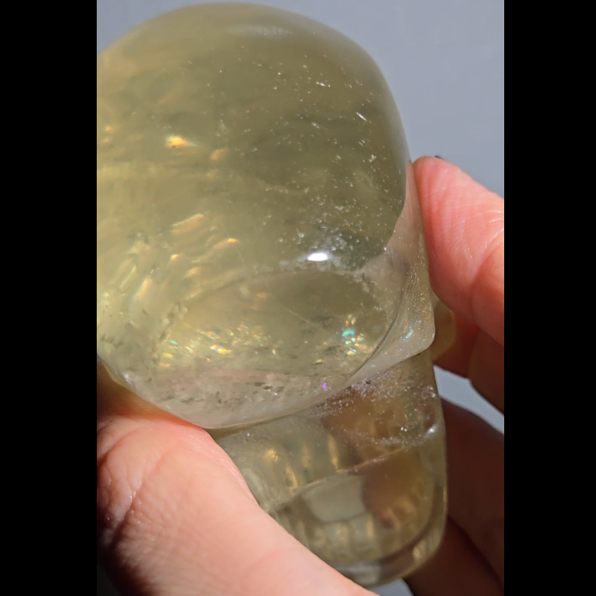 Citrine skull with rainbows and star flash asterism - C66