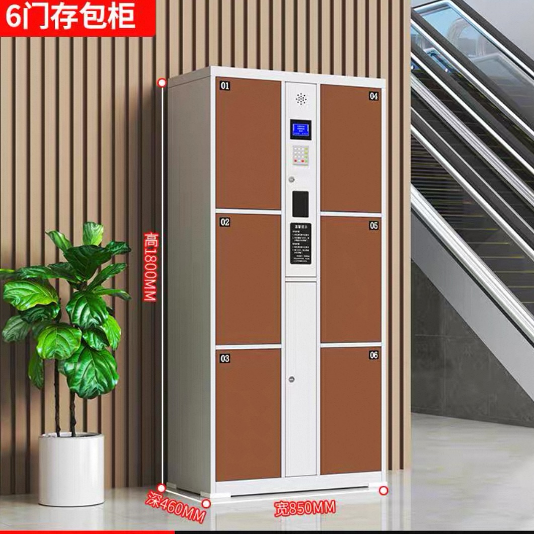 超市電子儲物櫃 學校商場人臉條碼智能寄存櫃 指紋掃碼儲物櫃 Storage locker