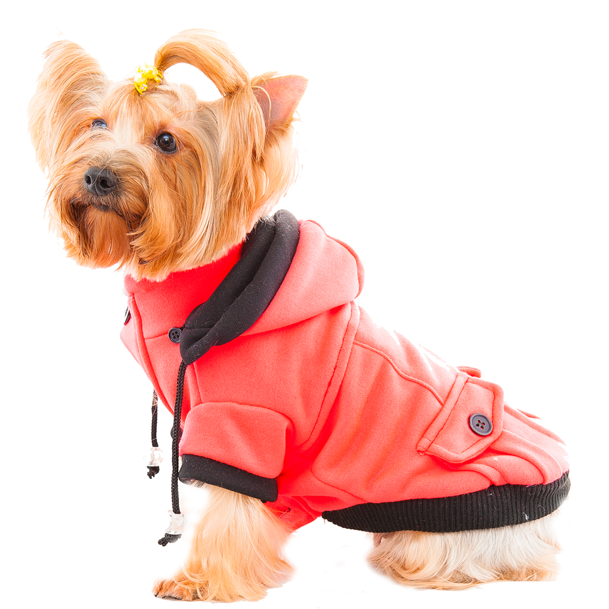 S561R DDC 衛衣外套-紅色 DDC sweatshirt jacket-red
