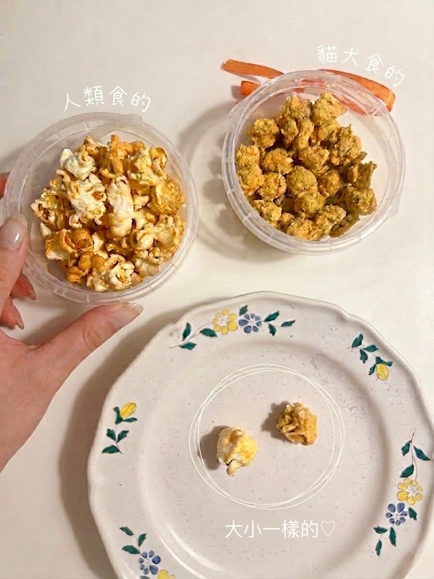 寵物養生健康小食 — 爆谷造型（鴨肉口味）