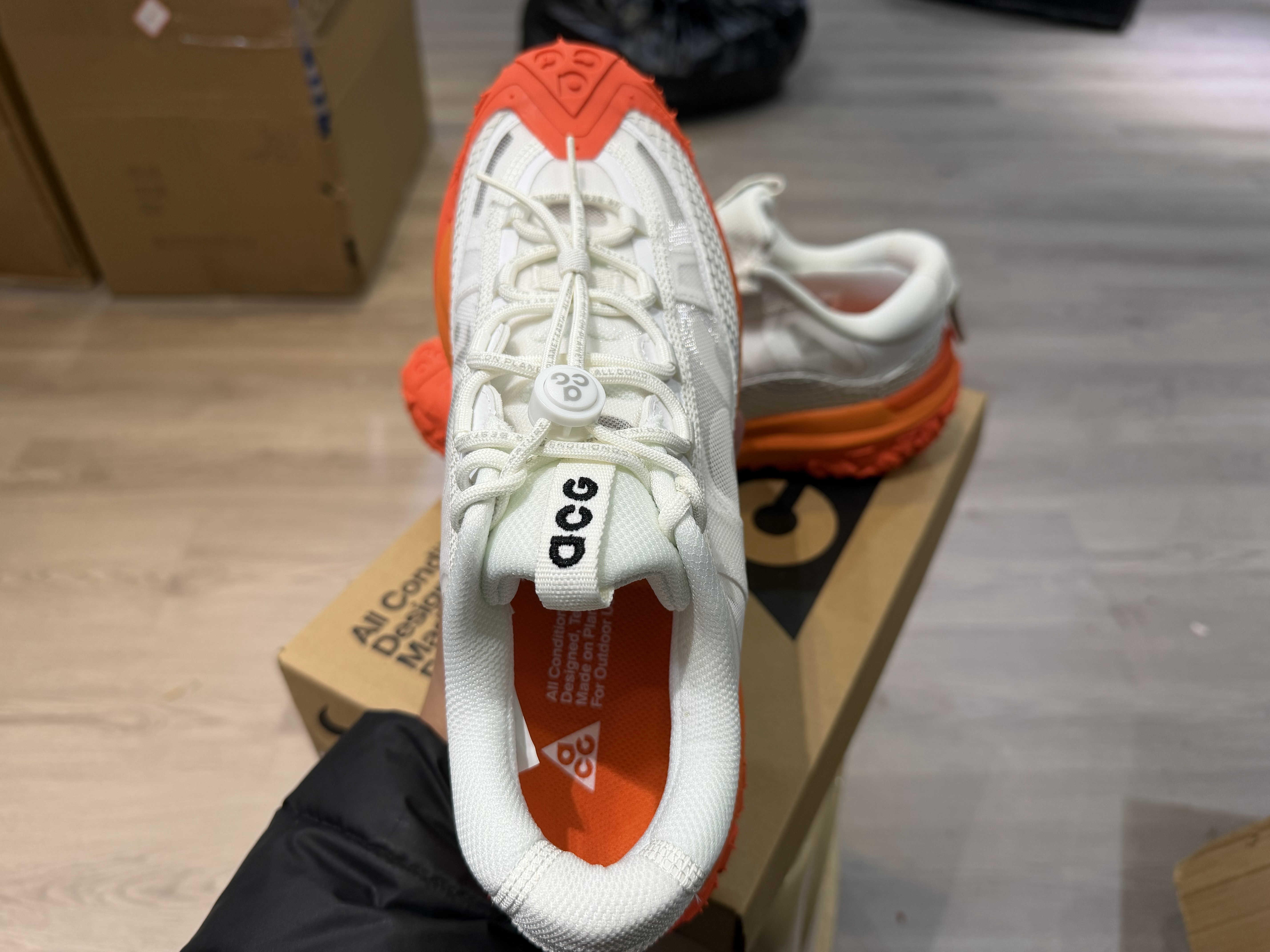 Nike ACG Mountain Fly 2 Low