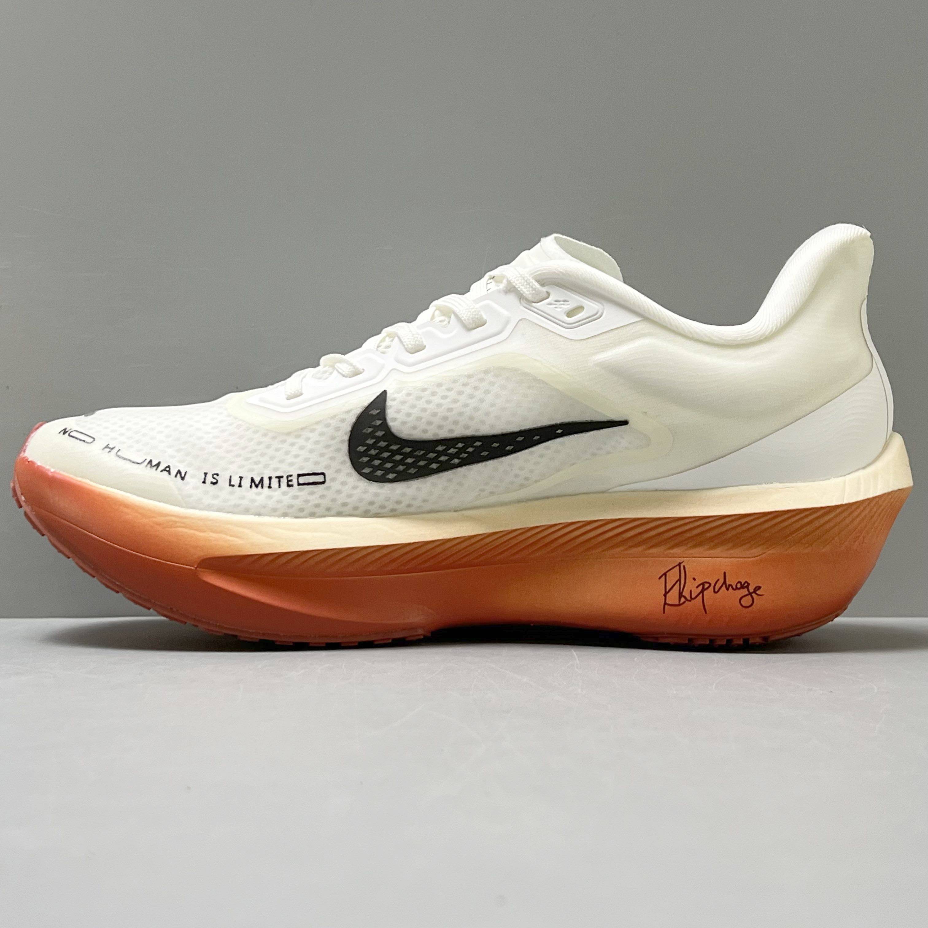 Nike Zoom Fly 6 HJ7038-100