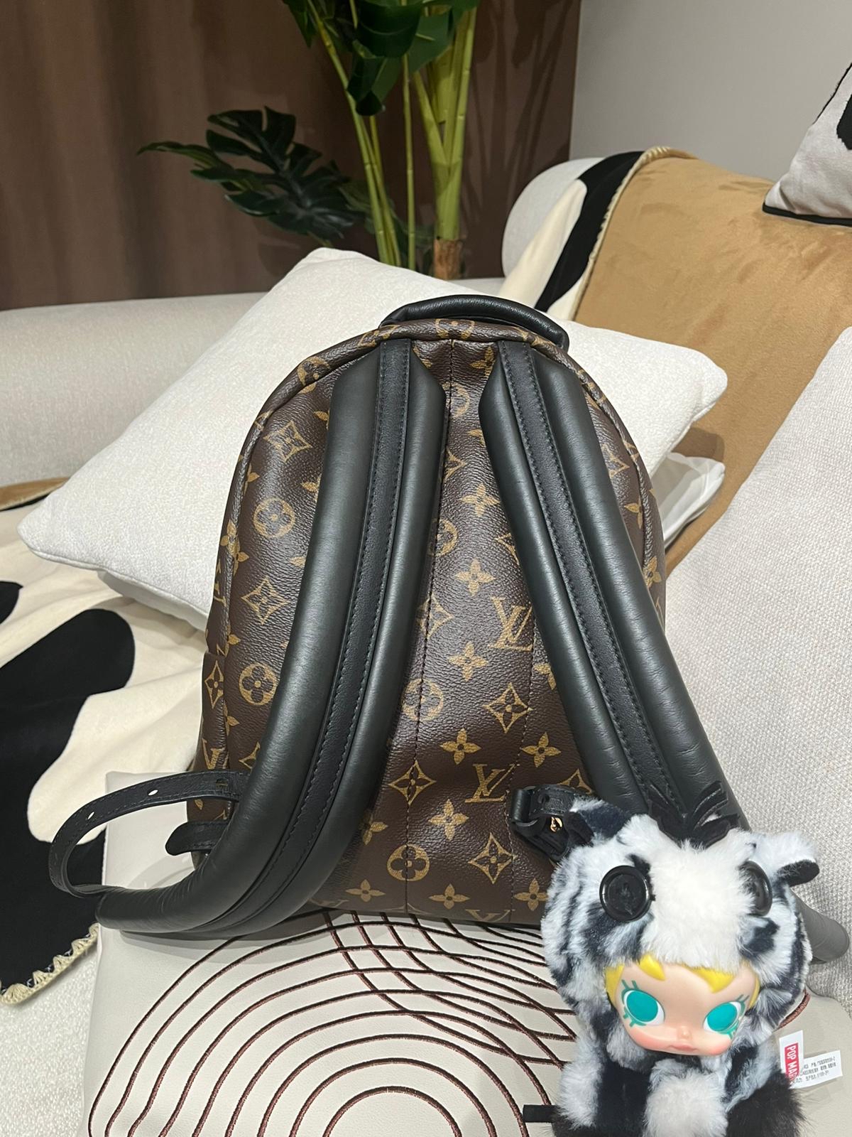 Lv backpack Palm Springs pm 100%Authentic,98%new ✅塵袋✅booklet