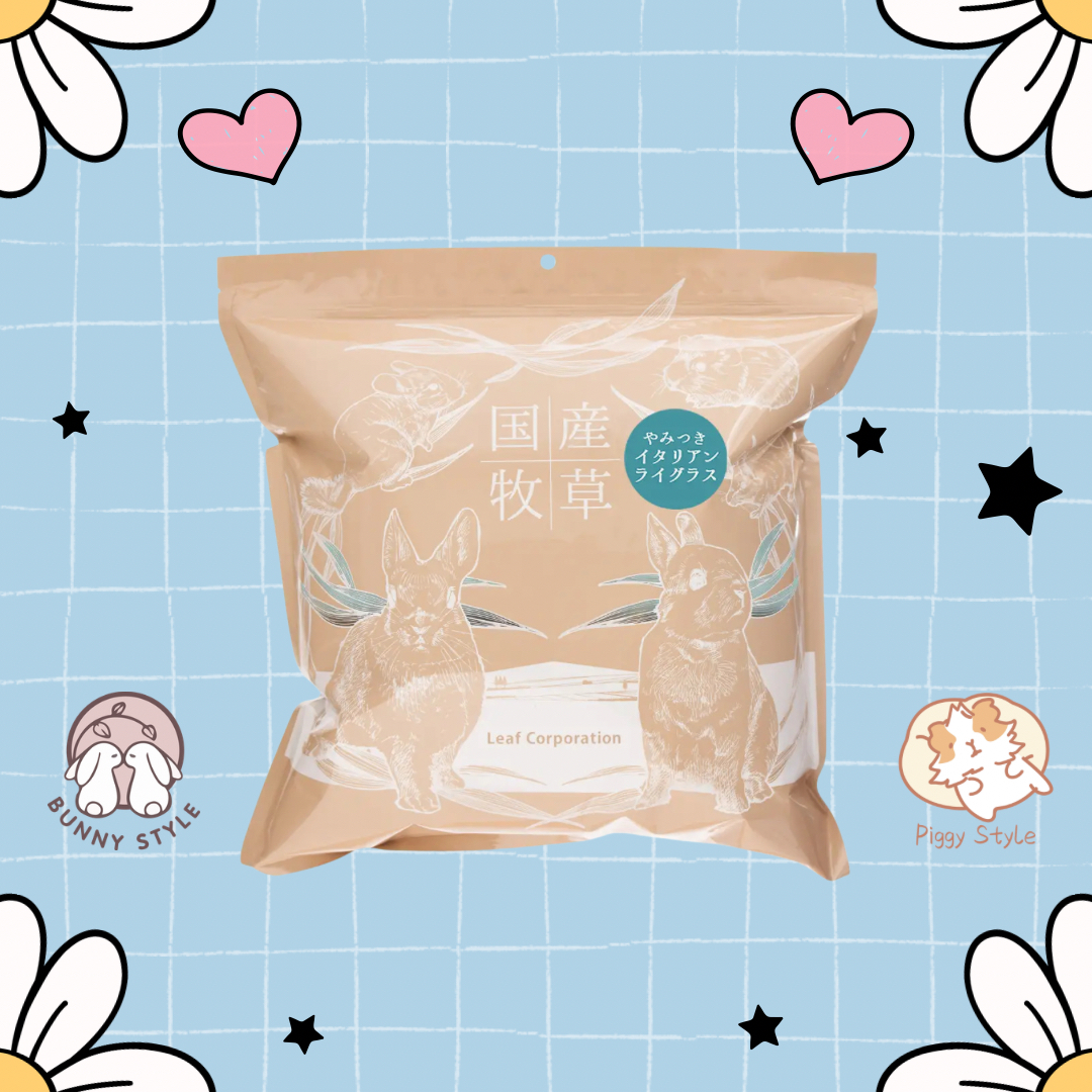 日本Leaf Corp 上癮的義大利黑麥草 100g