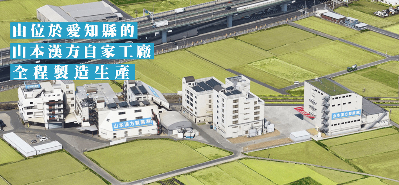 日本直送 山本漢方 去水玉米鬚茶8gx20包