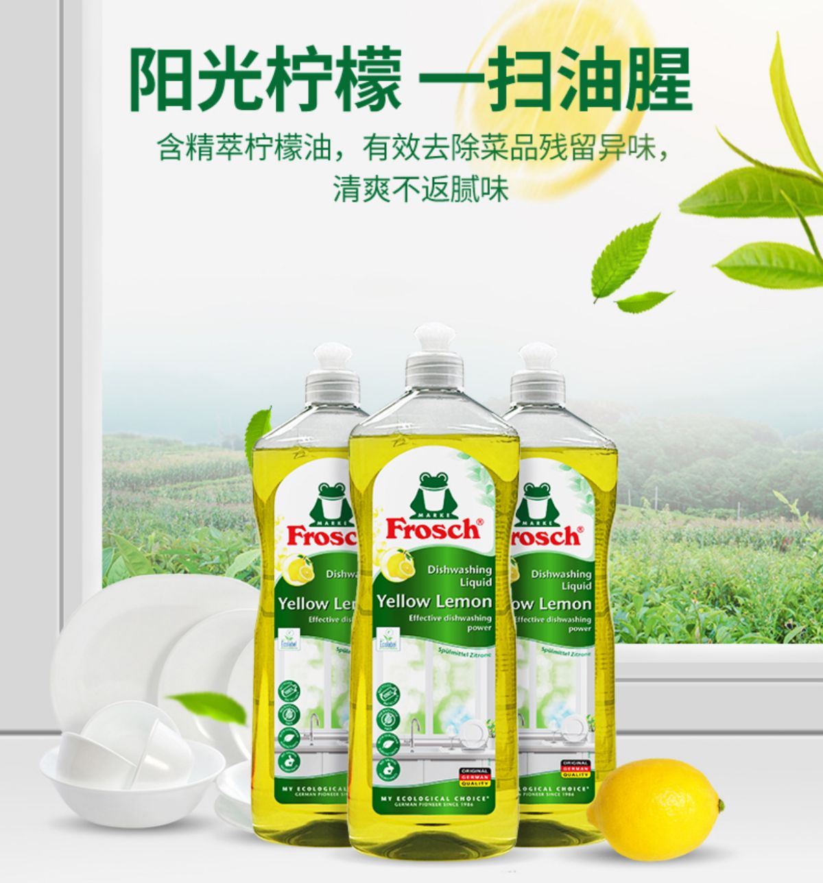德國進口 Frosch 福納絲 檸檬濃縮餐具 洗潔劑 1L 平行進口 (00806)
