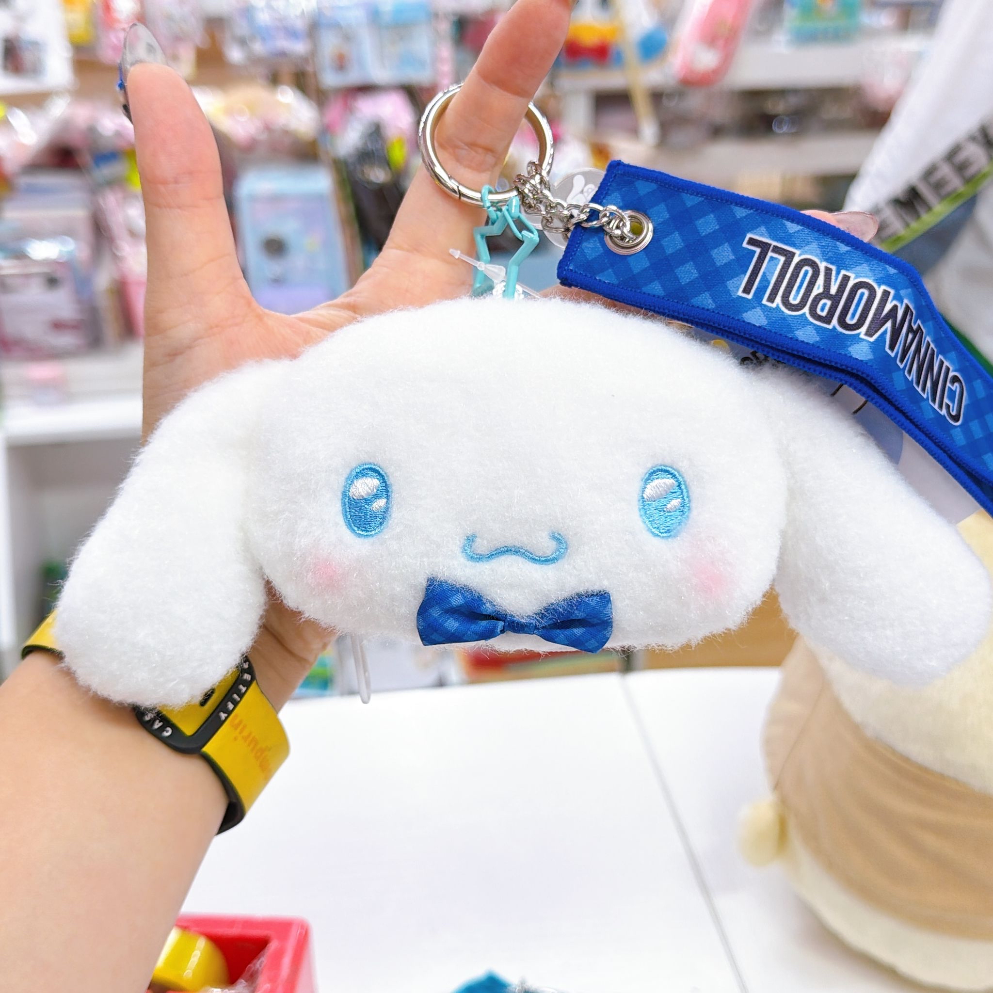 原裝行貨Sanrio  頭型掛飾散子包