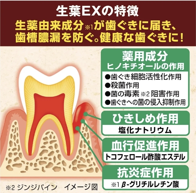 日本小林製藥 生葉EX 藥用牙膏 100g