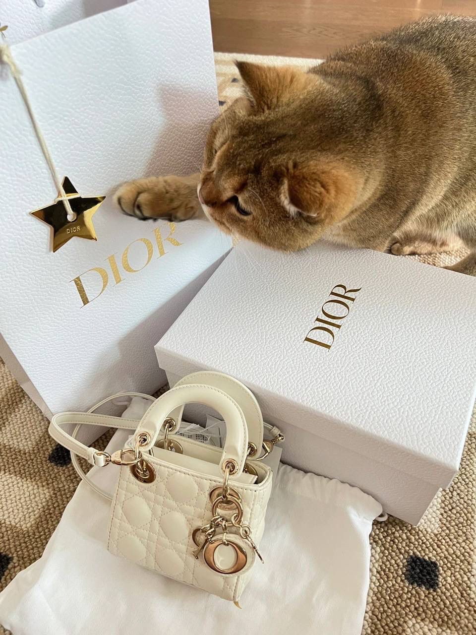 🈶羊皮小鸡黄 𝗗𝗜𝗢𝗥 𝗺𝗶𝗰𝗿𝗼 𝗹𝗮𝗱𝘆 𝗯𝗮𝗴 火爆全网的最新超mini系列 天阿噜！小小只，简直太太太太可爱了！ 精致到巴掌大小，无敌治愈我这颗少女的心啊！！ size：12×10×5cm