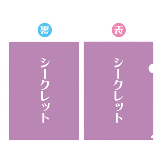 星夢學園 Aikatsu! A4 閃文件夾 Clear File系列 第2彈 #P-AKG0284 [BANDAI] (PRE-ORDER) [2026/02]