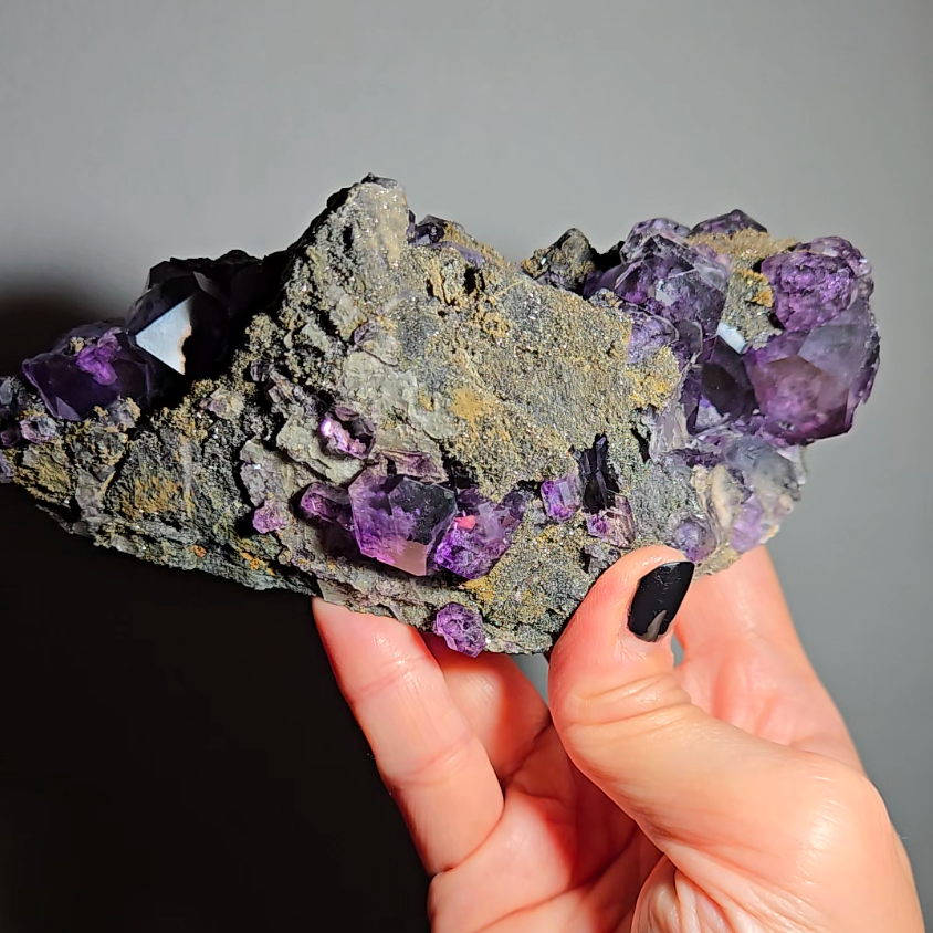 Tanzanite fluorite cluster with big dodecahedral gems - FL359
