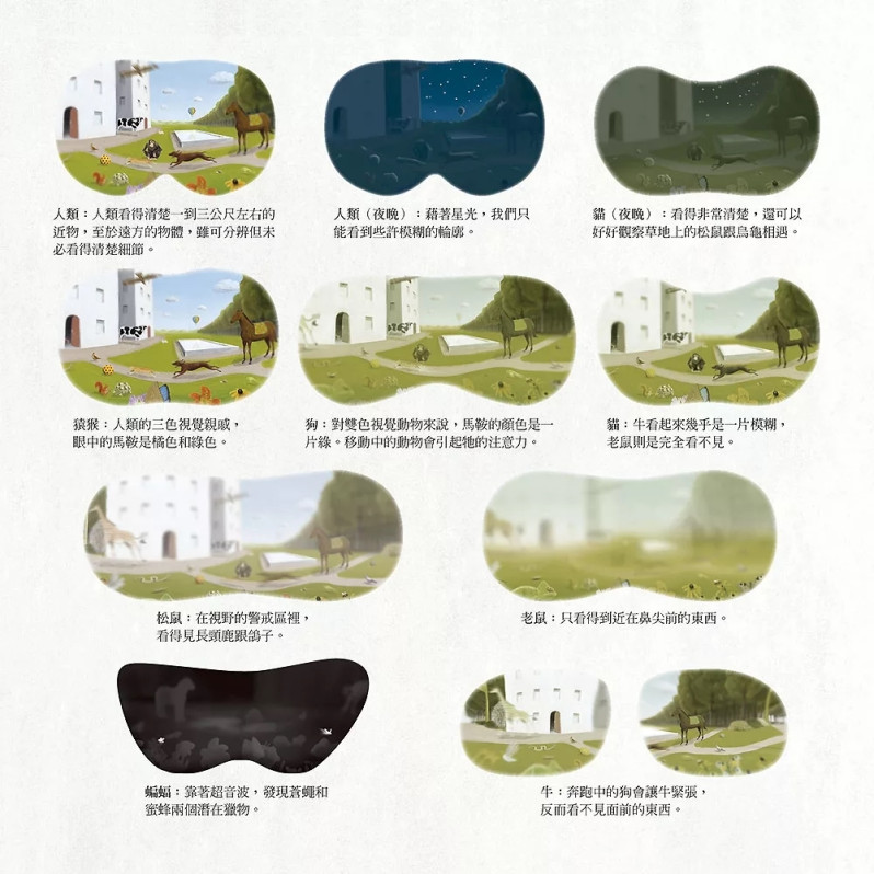 動物眼中的世界（典藏新裝版）