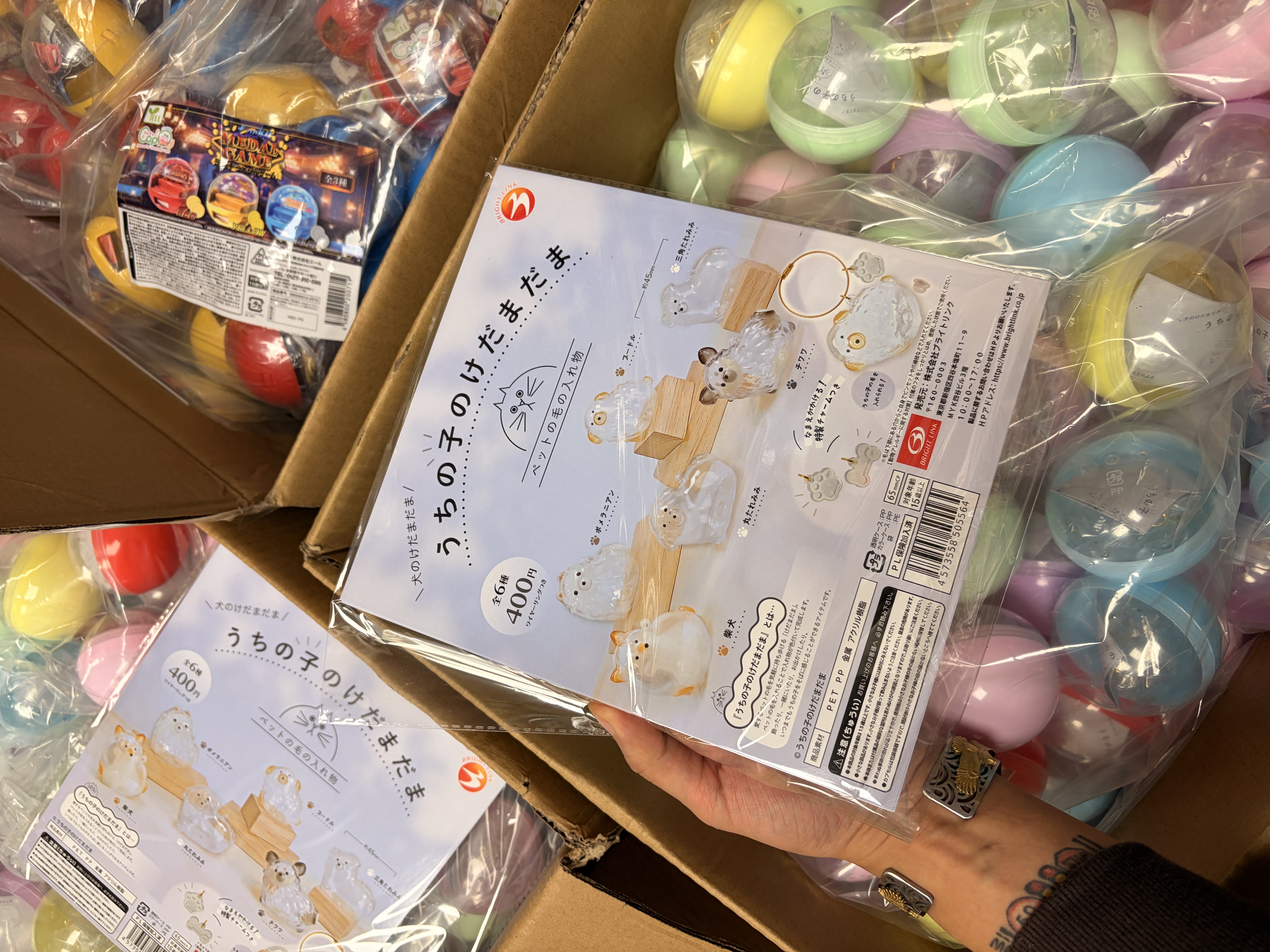 BRIGHT LINK 狗毛收集扭蛋 