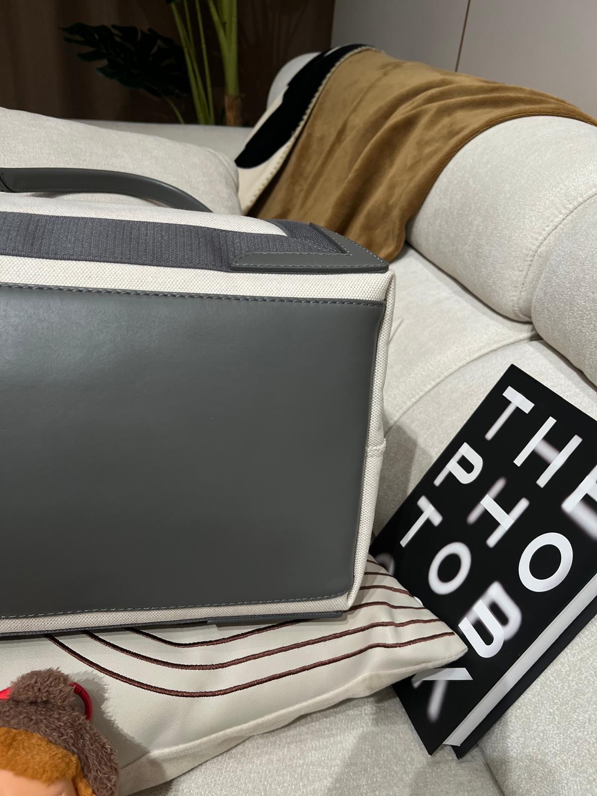  Balenciaga cabas tote bag medium 100%Authentic, 95%new✅pouch✅dust bag