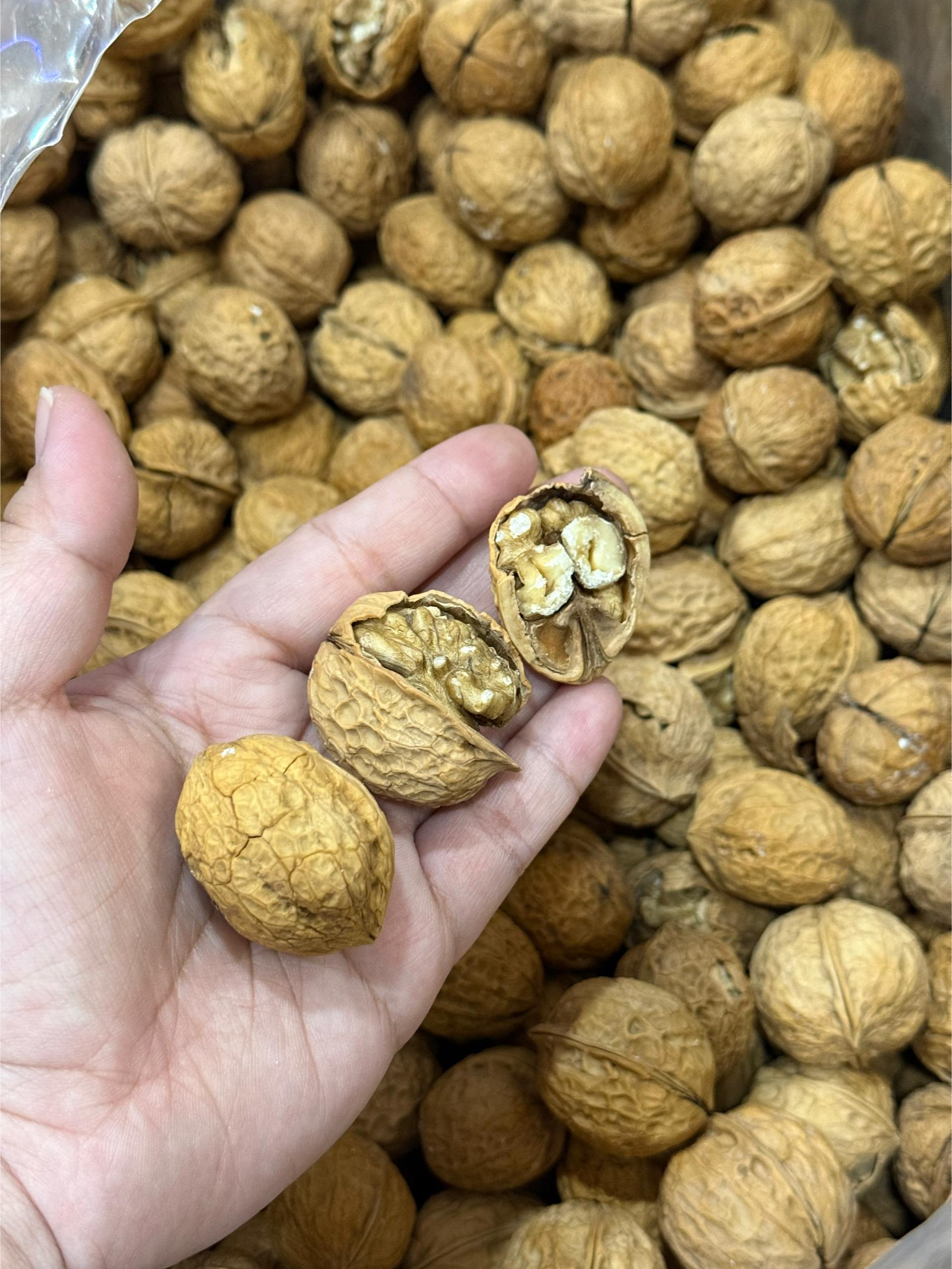 恒发‖有壳核桃果 Roasted Walnut(shell)