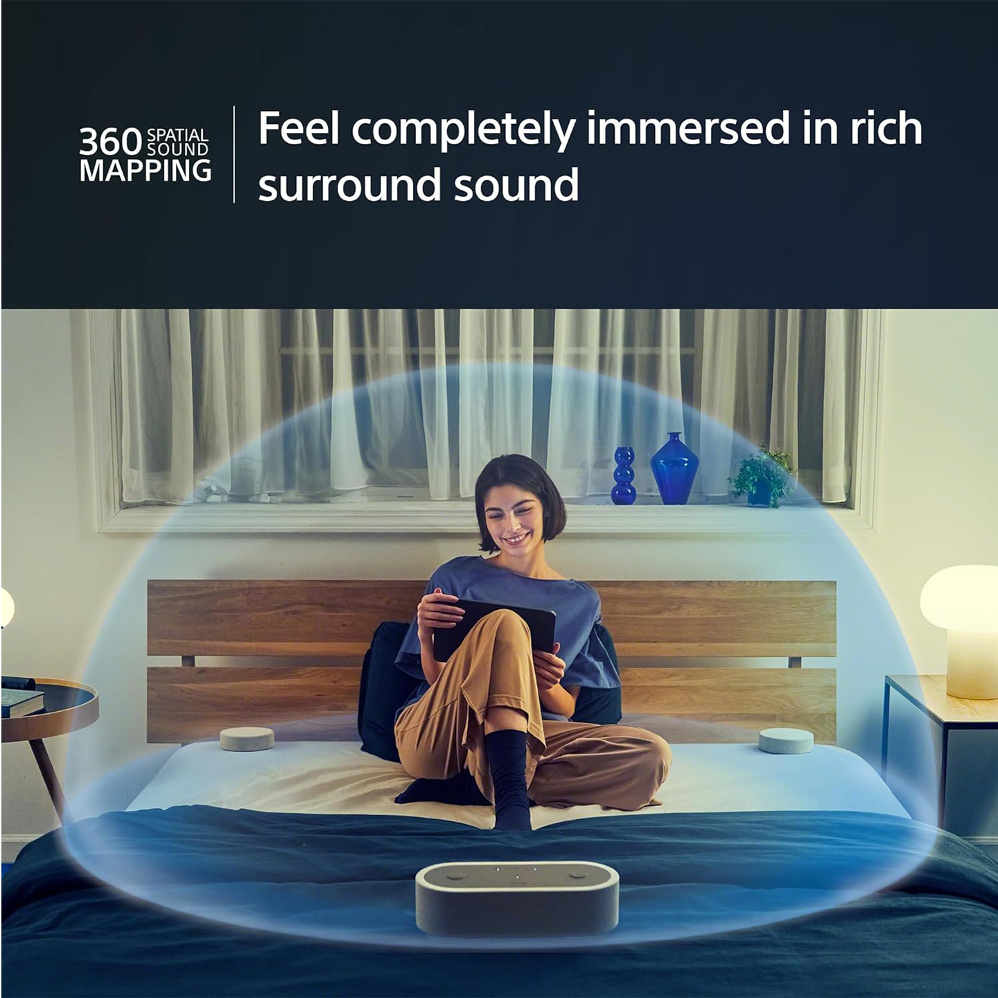 Sony Portable Theatre System Wireless Audio (HT-AX7)