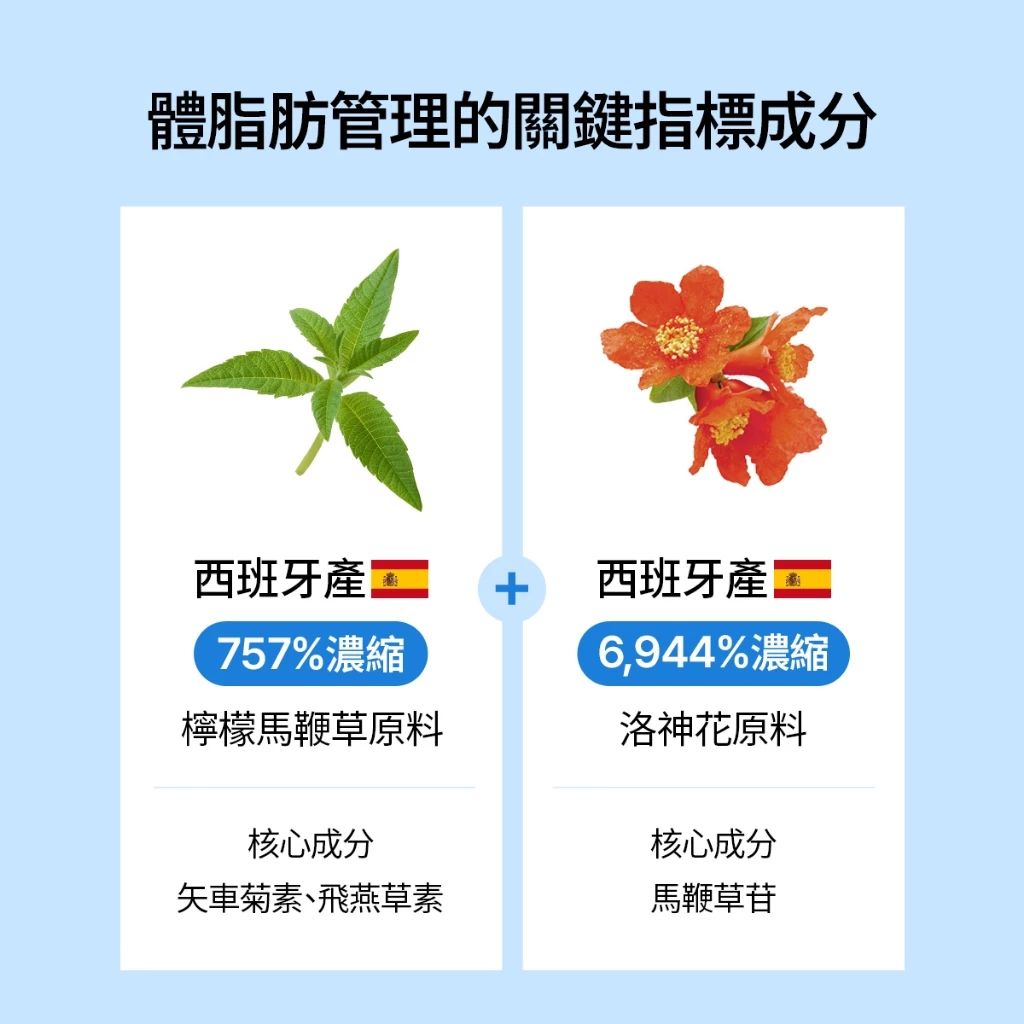 韓國 Foodology 地中海 檸檬馬鞭草 纖體丸｜Mindful Lemon Verbena and Hibiscus 500mg