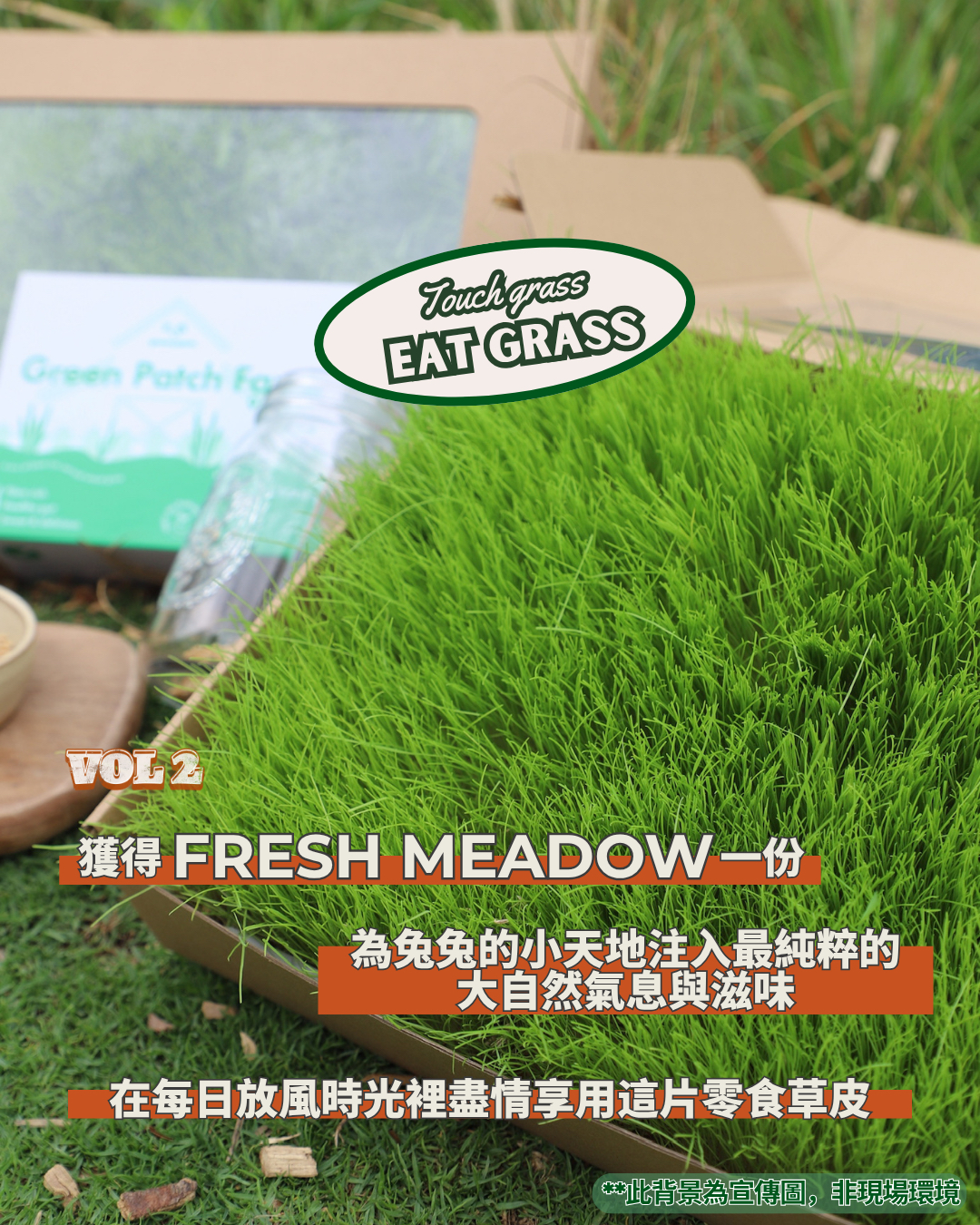 Green Patch x BunnyStyle 兔聚 02/05/2026