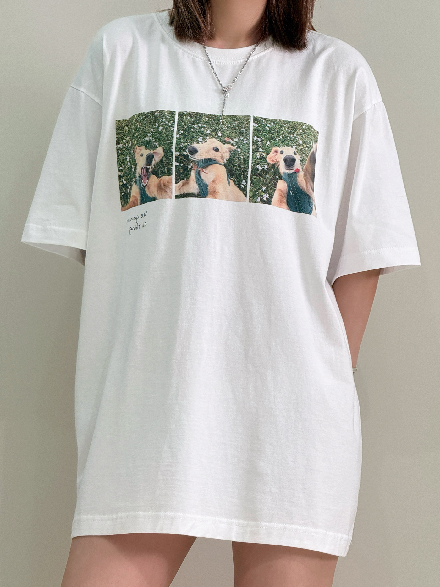 𝐂𝐮𝐭𝐞 𝐝𝐨𝐠 𝐩𝐮𝐳𝐳𝐥𝐞 𝐨𝐯𝐞𝐫𝐬𝐢𝐳𝐞𝐝 𝐭-𝐬𝐡𝐢𝐫𝐭