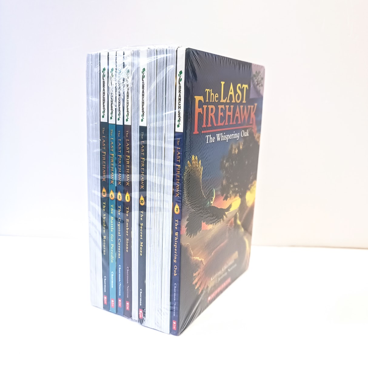 The Last Firehawk  Branches Series  12 books |   火鷹傳奇  12冊 | 小學課外讀本 橋樑章節書 6-14歲 | S89