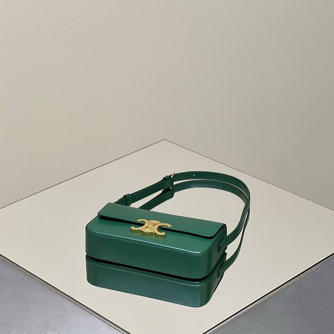 🔥大货实拍图 𝗖𝗘𝗟𝗜𝗡𝗘 ♥ 𝗧𝗥𝗜𝗢𝗠𝗣𝗛𝗘 𝗦𝗛𝗢𝗨𝗟𝗗𝗘𝗥 𝗕𝗔𝗚 型号：194143 尺寸：20*10*4cm