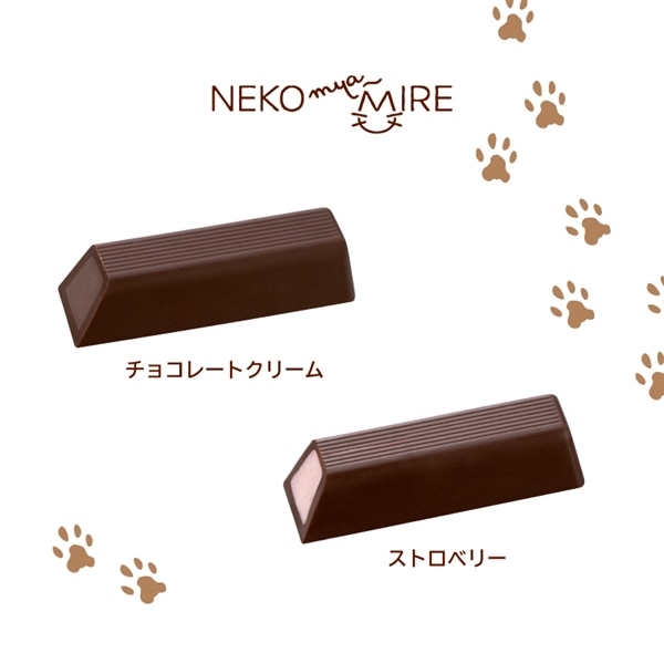 日本 Mary’s NEKO 貓貓朱古力禮盒10件