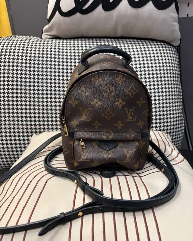 Lv mini Palm Springs backpack  100%Authentic, 95%New ✅Dust bag