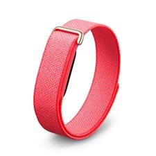 Google Fitbit Air 智能手環 四色 [平行進口]