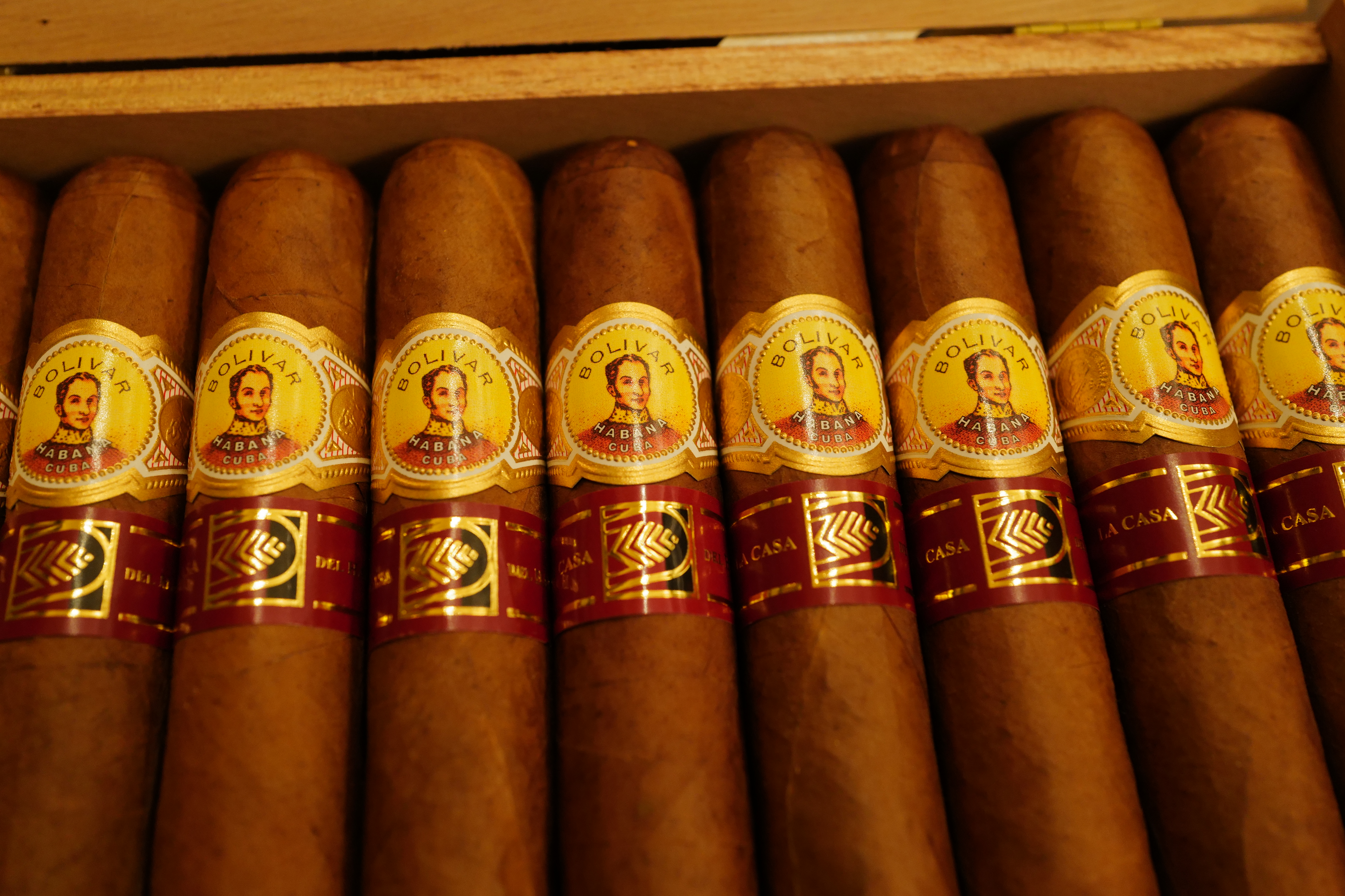 Bolívar Libertador 10s LCDH (玻利瓦 解放者)