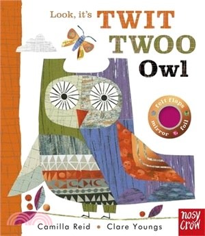 Look, It's Twit Twoo Owl (Felt Flaps)