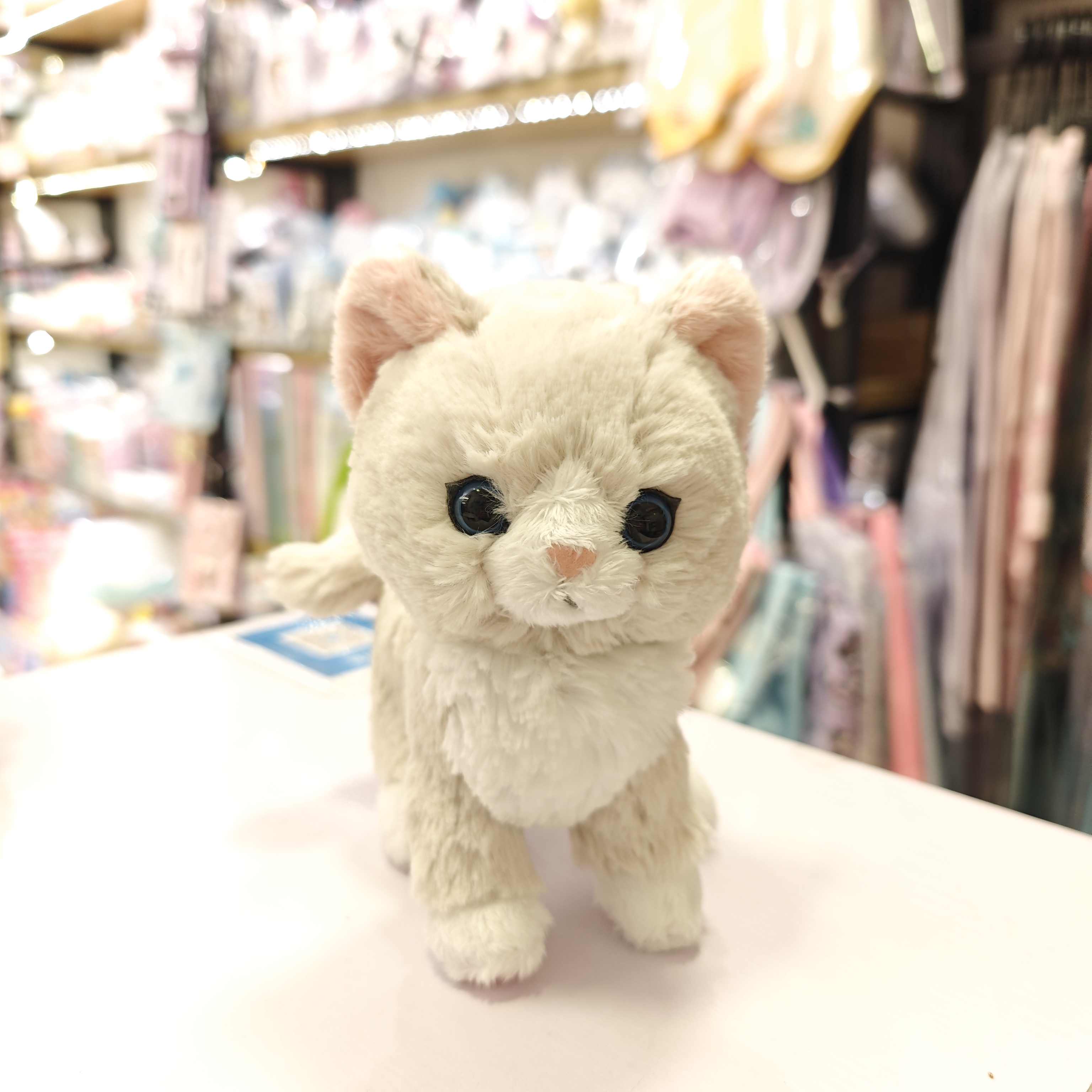 😊 SunLemon可愛貓咪公仔 😆