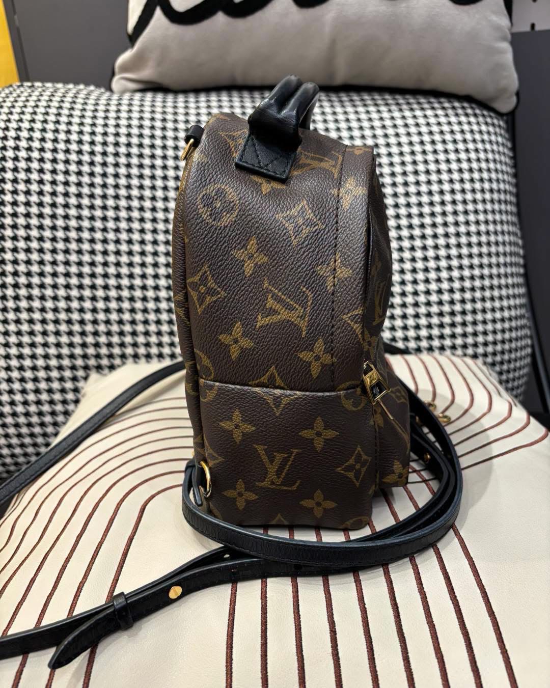 Lv mini Palm Springs backpack  100%Authentic, 95%New ✅Dust bag
