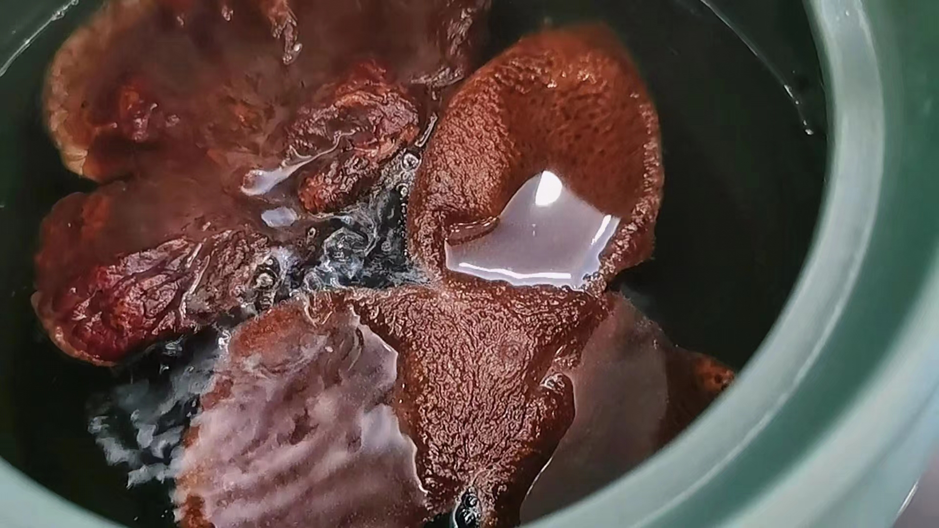 🌿 野生赤靈芝：自然的健康奇蹟 