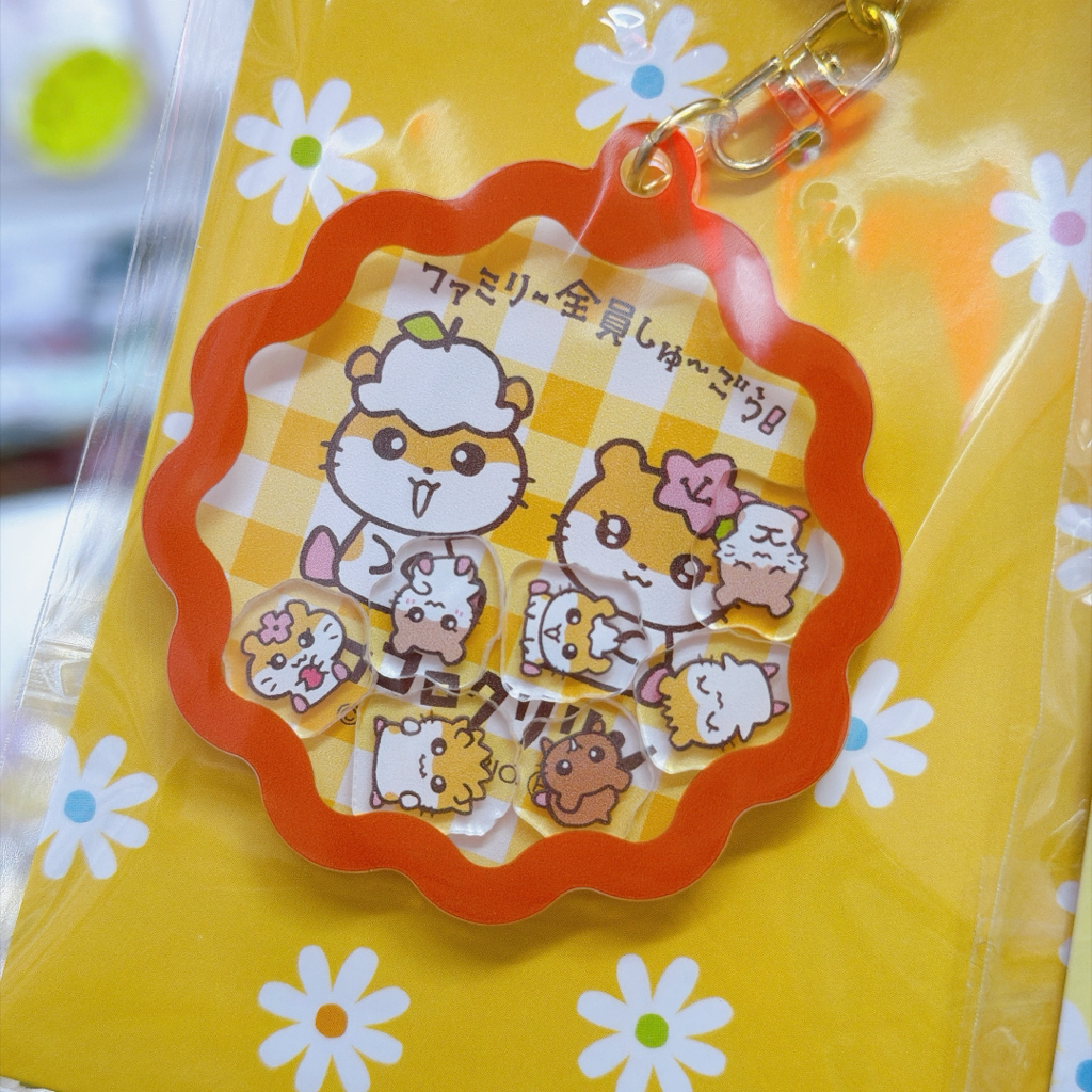 日本直送Sanrio CK新款文具系列