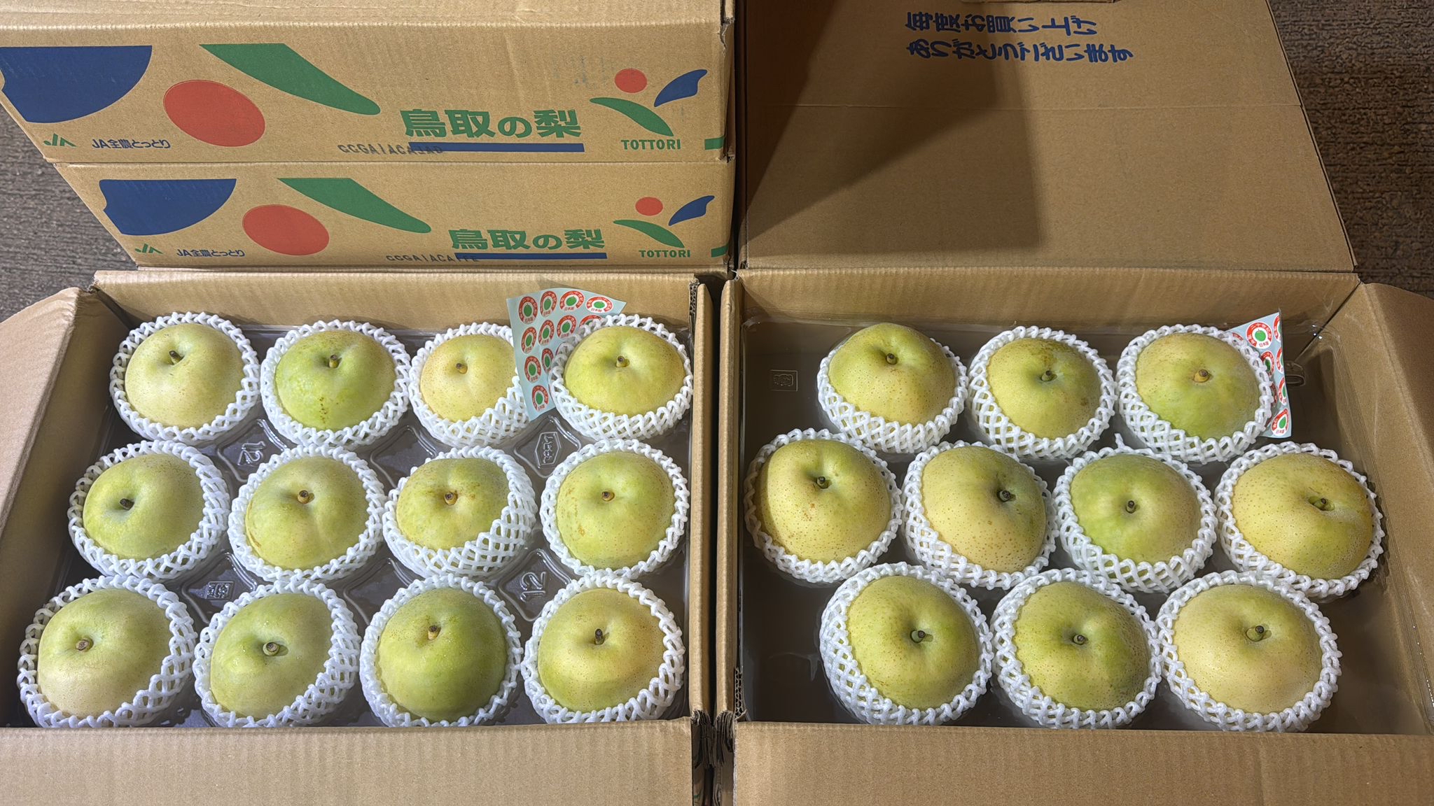 日本鳥取縣【 二十世紀水晶梨】禮盒(秀級💮)