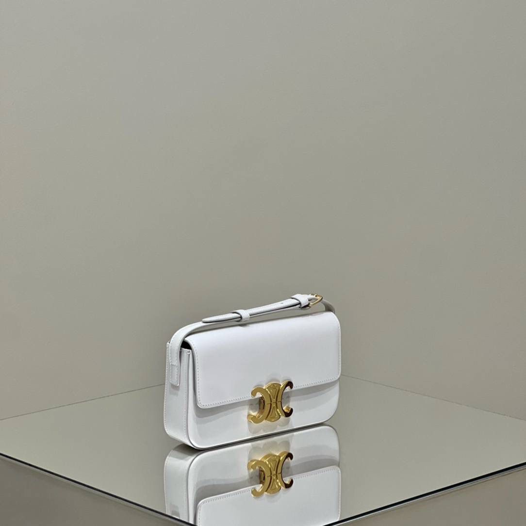 🔥大货实拍图 𝗖𝗘𝗟𝗜𝗡𝗘 ♥ 𝗧𝗥𝗜𝗢𝗠𝗣𝗛𝗘 𝗦𝗛𝗢𝗨𝗟𝗗𝗘𝗥 𝗕𝗔𝗚 型号：194143 尺寸：20*10*4cm