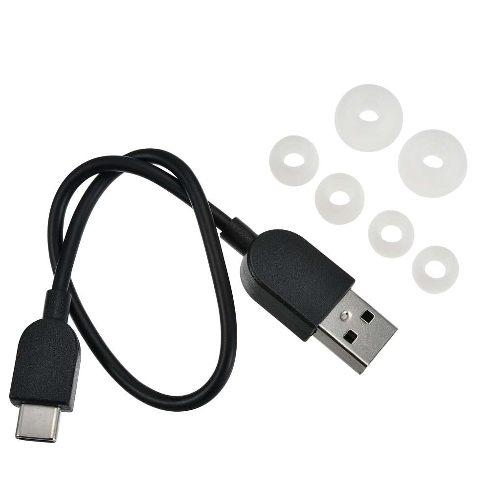 🎀【預訂】Disney x Victor Wireless Stereo Headset - Baymax