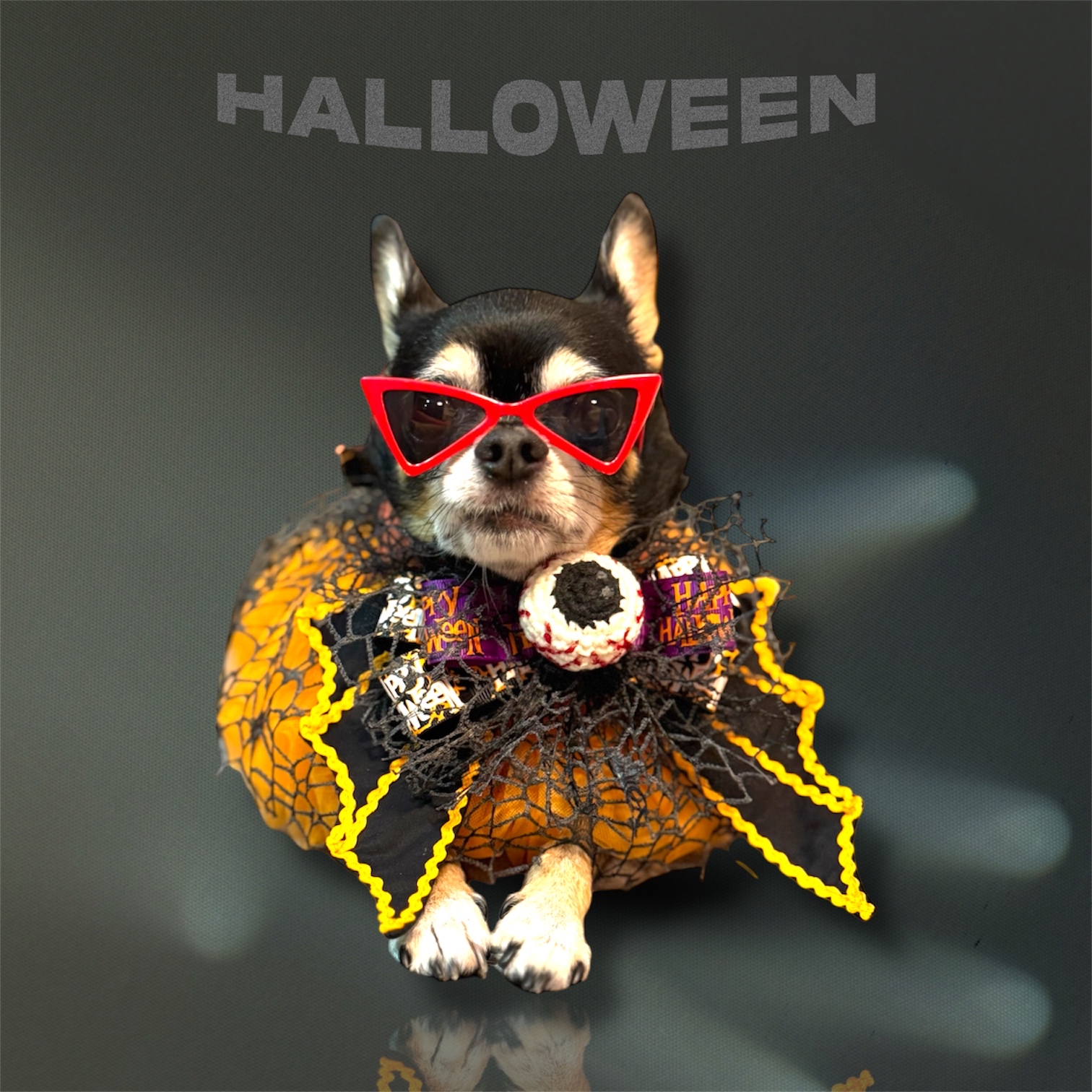 寵物手作 Halloween 暗黑者 歌德風 頸飾