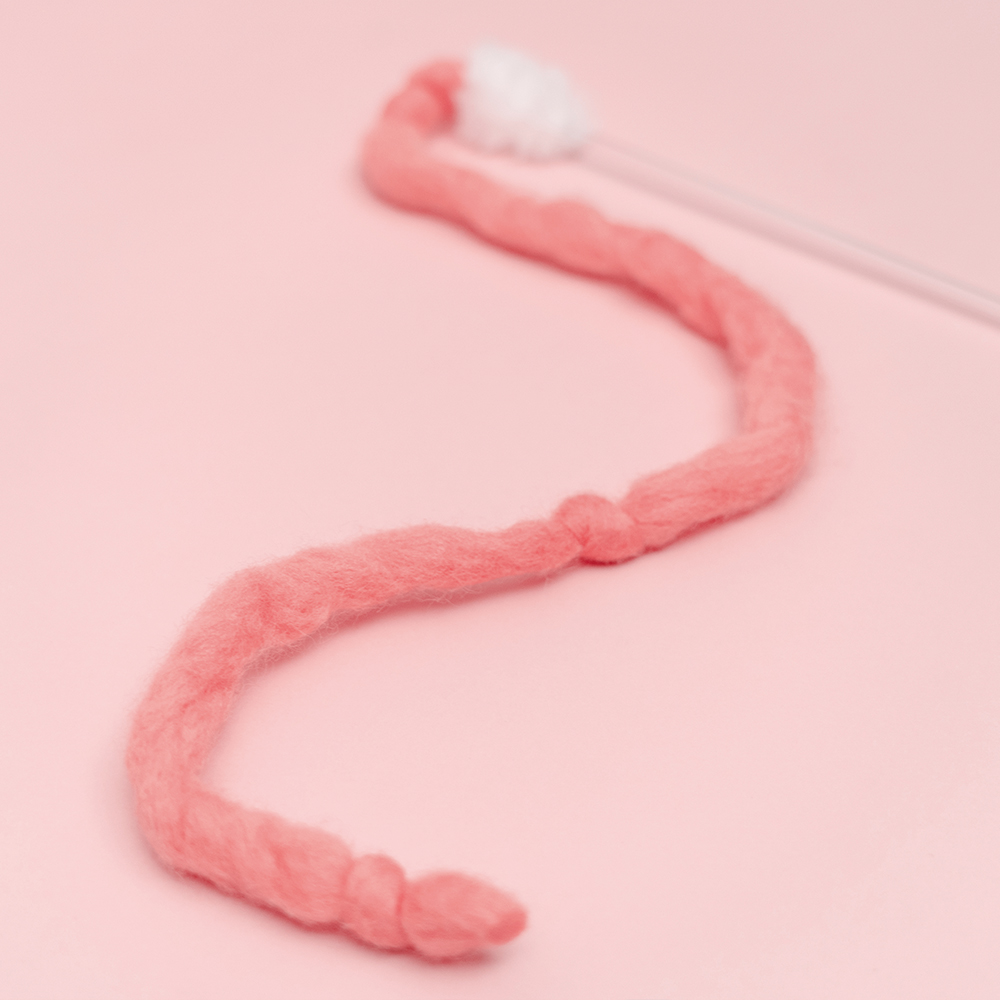 Zooahpet 頭搖尾擺蟲蟲 울롱울롱 1米逗貓棒