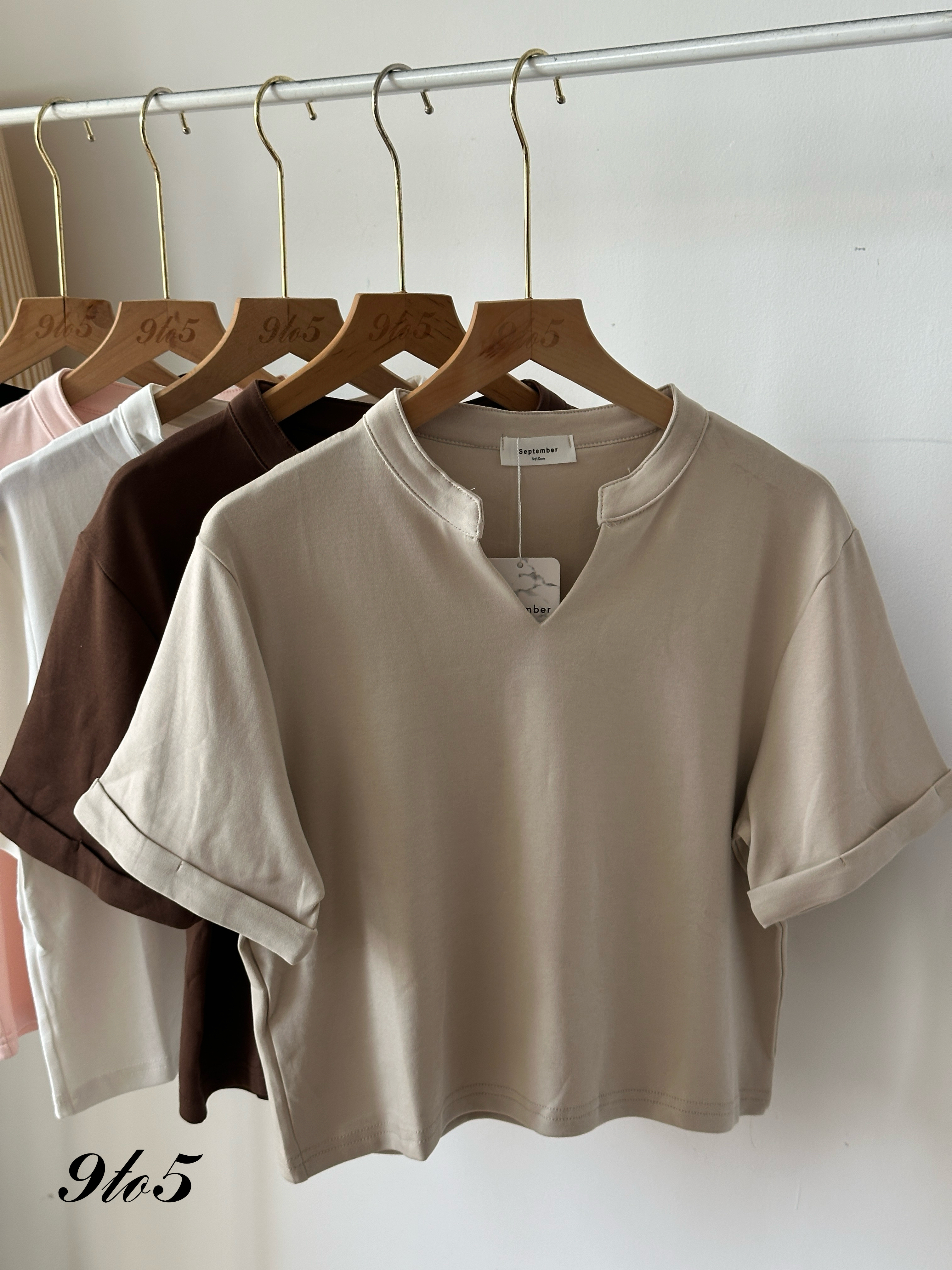 T3977 V Neck Shirt - 5 Colors