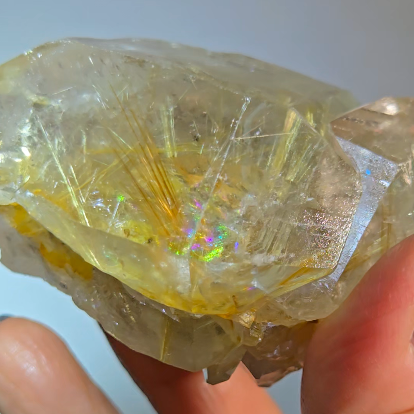 Golden starburst rutiles on black hematite in quartz - RT1429
