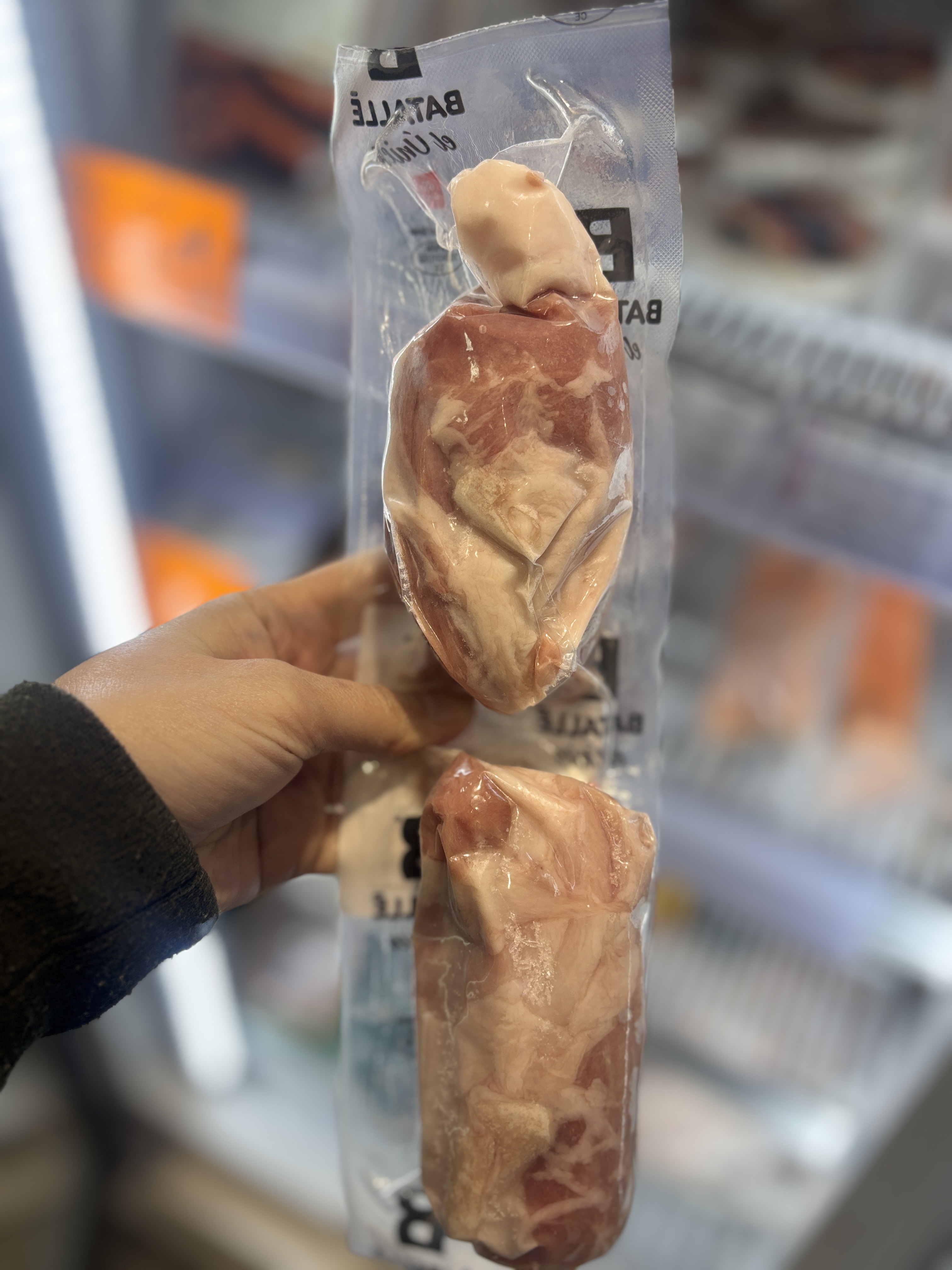 Batalie 西班牙白豚豬展仔