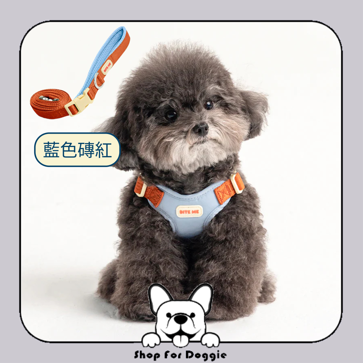 [訂貨3-4星期] 韓國 Bite Me Comfort Harness v2 胸背帶
