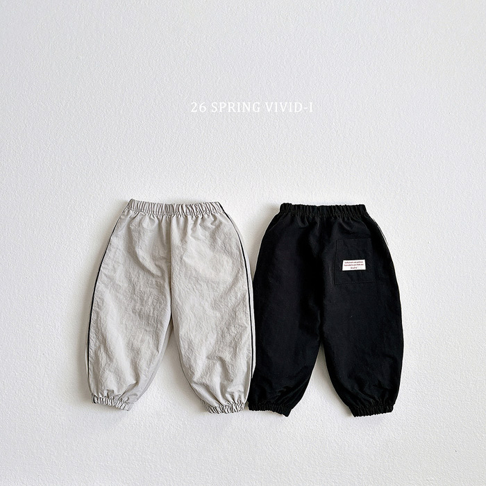 🇰🇷vivid_i pants