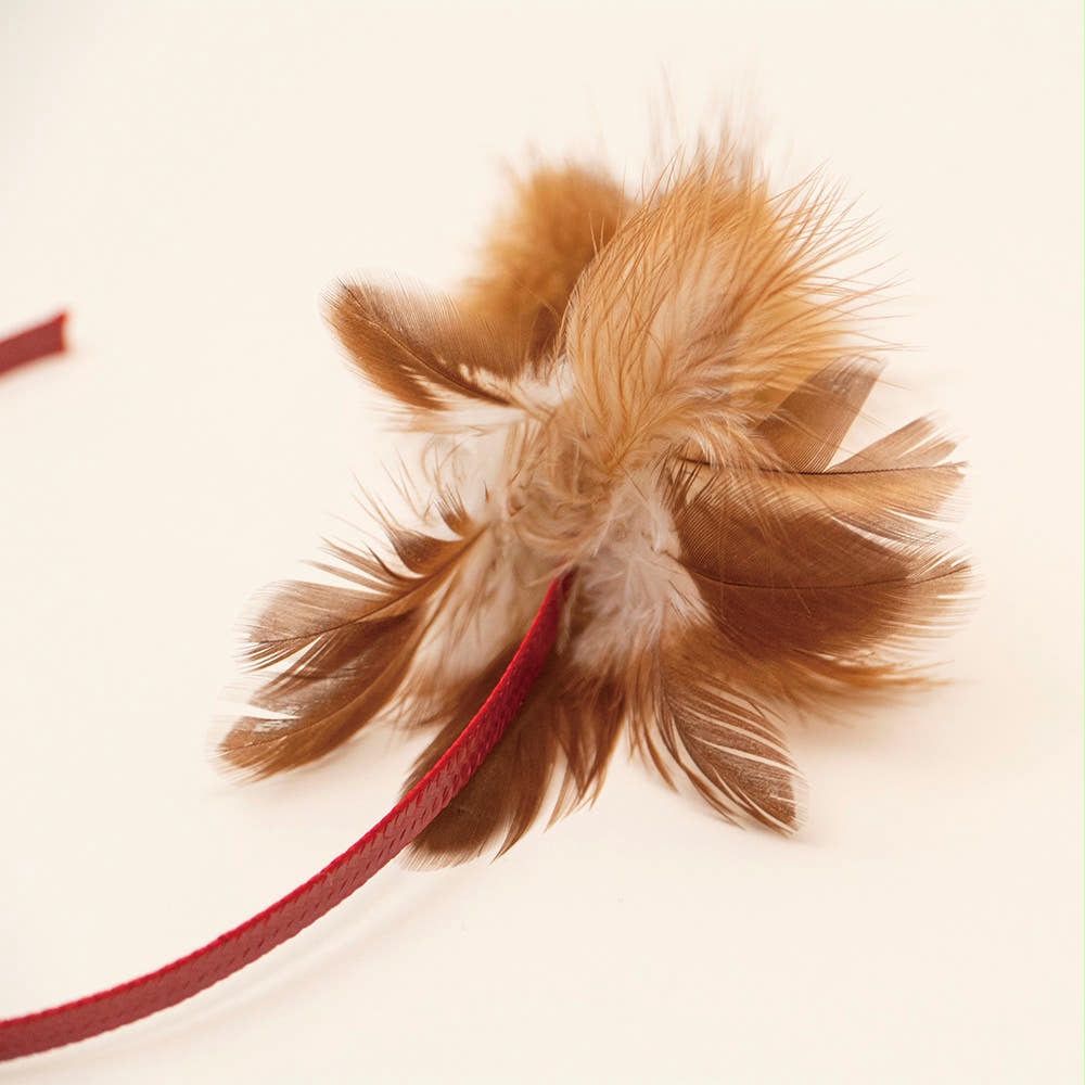 Zooahpet 紅尾麻雀 빨간꼬리참새 補充貓頭玩具